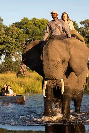 Safaris au Botswana et hordes d’éléphants