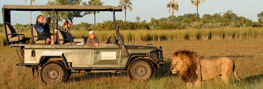 les prédateurs du Botswana