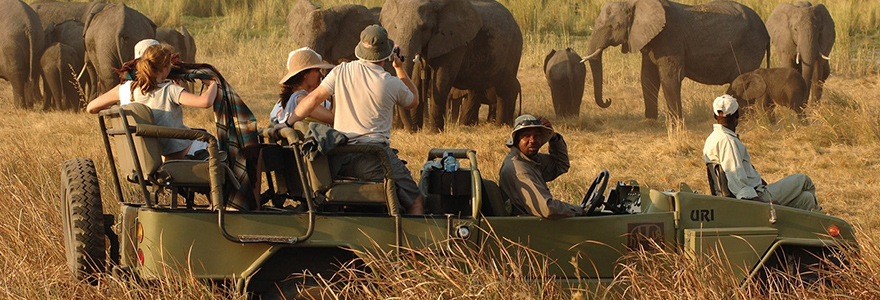 Safaris au Botswana